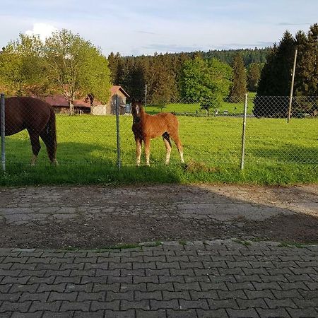 Appartamento "Sous Les Barres" Montfaucon Esterno foto