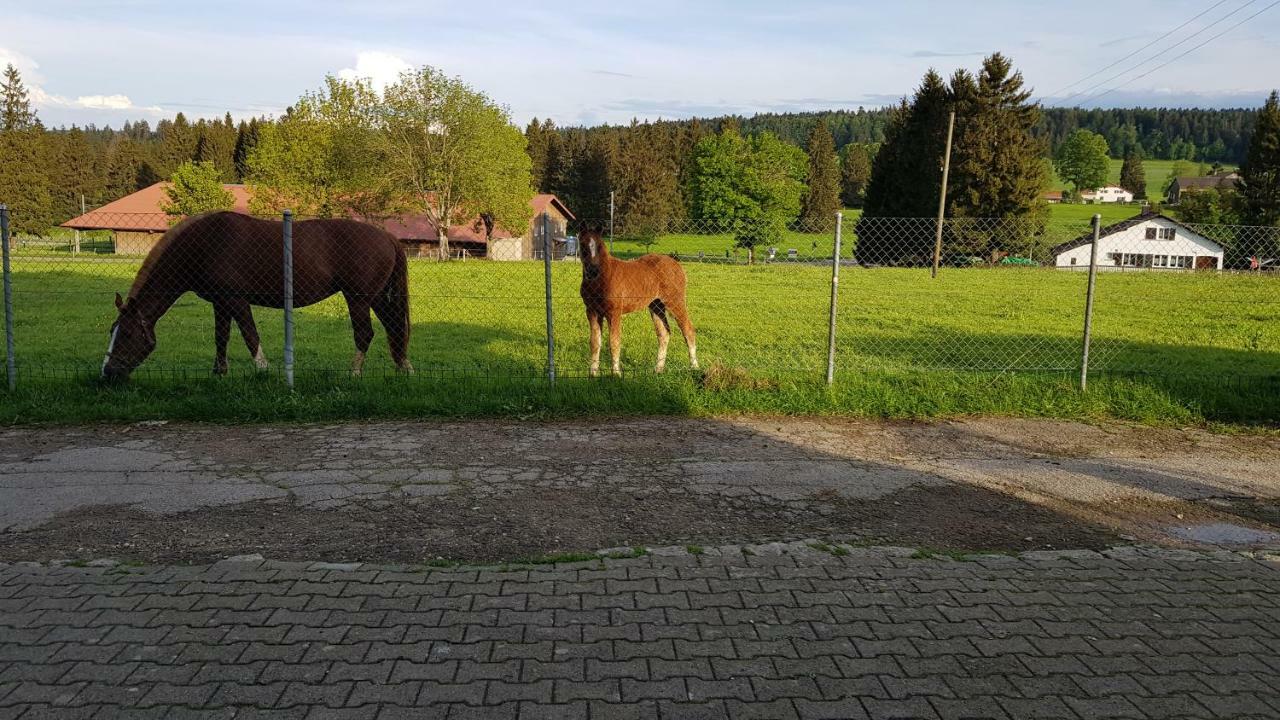 Appartamento "Sous Les Barres" Montfaucon Esterno foto